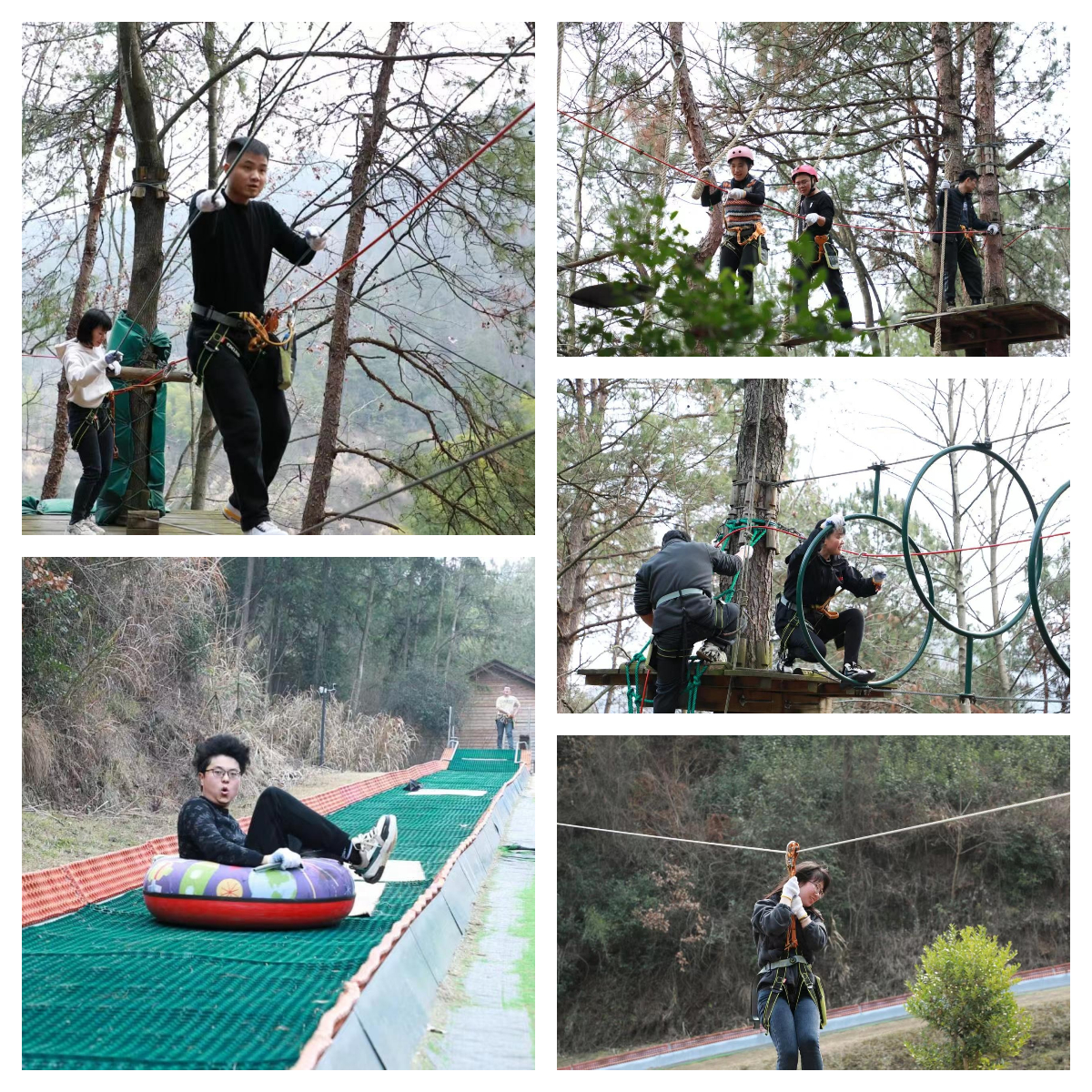 得潤電氣團建-叢林穿越 得潤電氣團建-叢林穿越