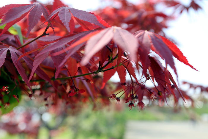 得潤(rùn)電氣 400-128-7988 得潤(rùn)電氣 400-128-7988