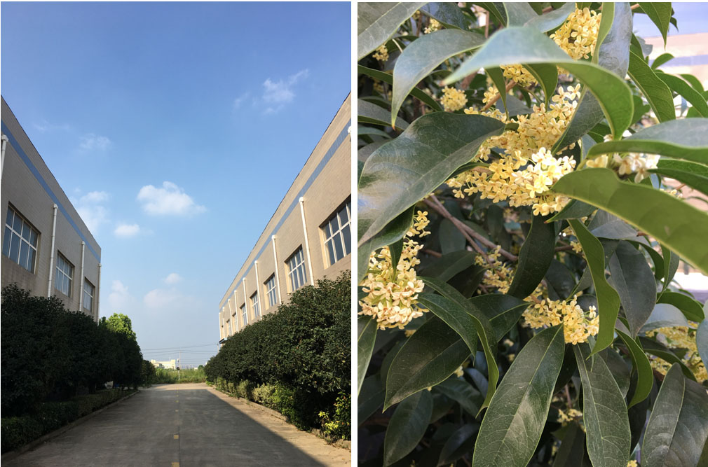 得潤電氣 出口成套高低壓開關柜 配電柜 聯(lián)系電話:400-0551-777 qq:3176885416 得潤電氣 出口成套高低壓開關柜 配電柜 聯(lián)系電話:400-0551-777 qq:3176885416